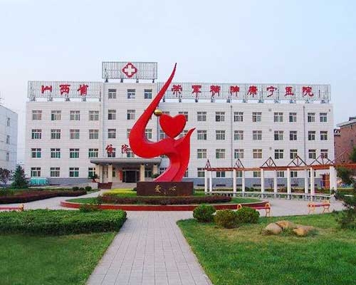 荣军医院-不锈钢隔断、自动门、旗杆、树叶造型雕塑