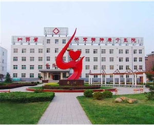 荣军医院-不锈钢隔断、自动门、旗杆、树叶造型雕塑